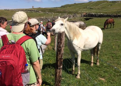 Hiking Ireland Dingle Way